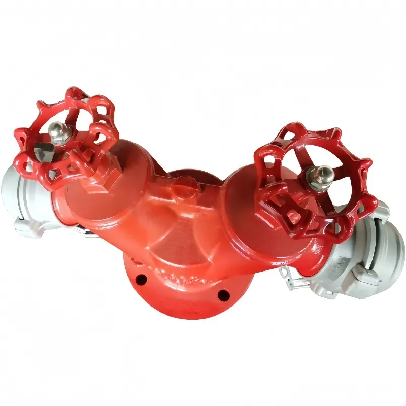 Двухкорпусный гидрант с двумя выходными патрубками (3)